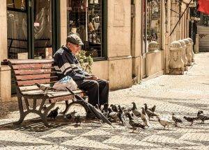 senior feeding pigeons on bench